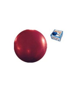 Balones ( Pelotas ) Gigantes Fitness y Pilates...