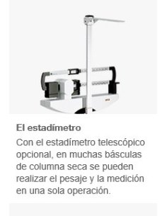 Báscula Mecánica Romana SECA 700 Con Tallímetro Modelo 220 2