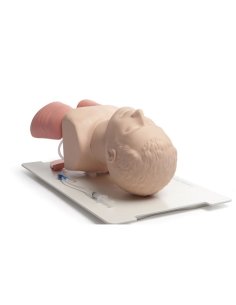 Cabeza intubación adultos Laerdal