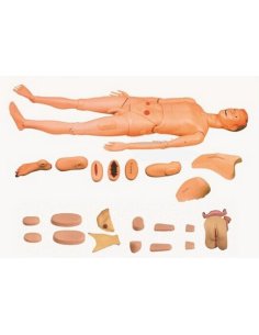 Maniquí De Entrenamiento de Enfermería avanzada Función...