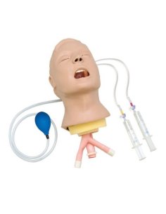 Cabeza del entrenador avanzado de vías respiratorias...