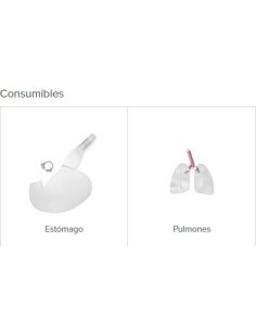 Cabeza del entrenador avanzado de vías respiratorias... 2