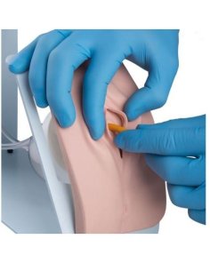 Simulador de cateterismo BASIC, sexo femenino 2
