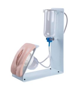 Simulador de Cateterismo BASIC, ambos sexos, intercambiable
