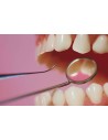 Material dental