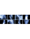 Material para Radiodiagnósticos